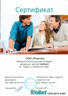 Vaillant запчасти
